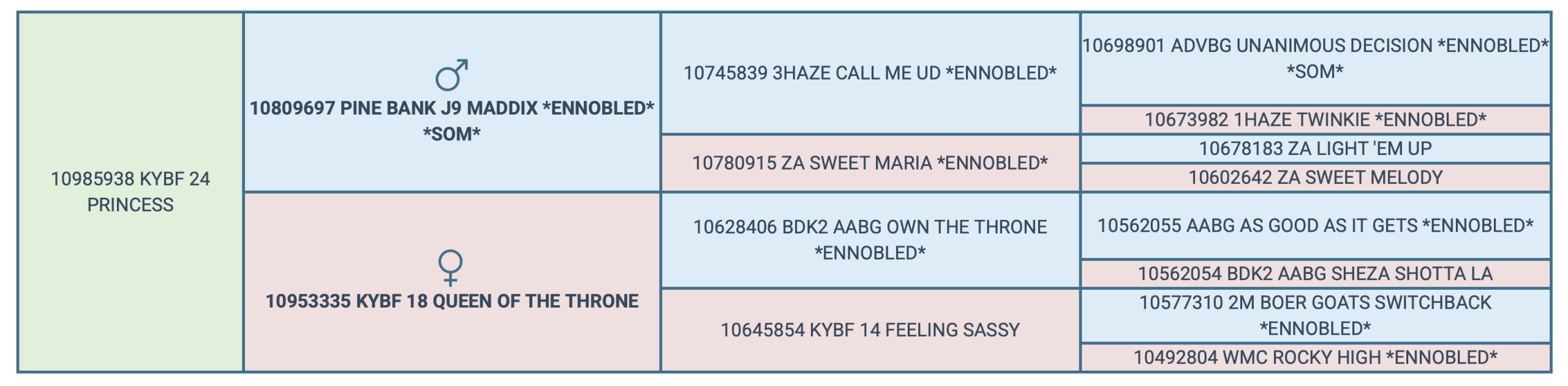 Screenshot 2025-04-17 at 4.54.25 PM